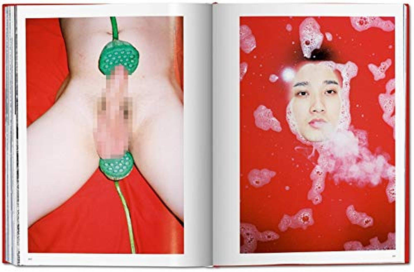 Ren Hang - (Libro en Inglés)