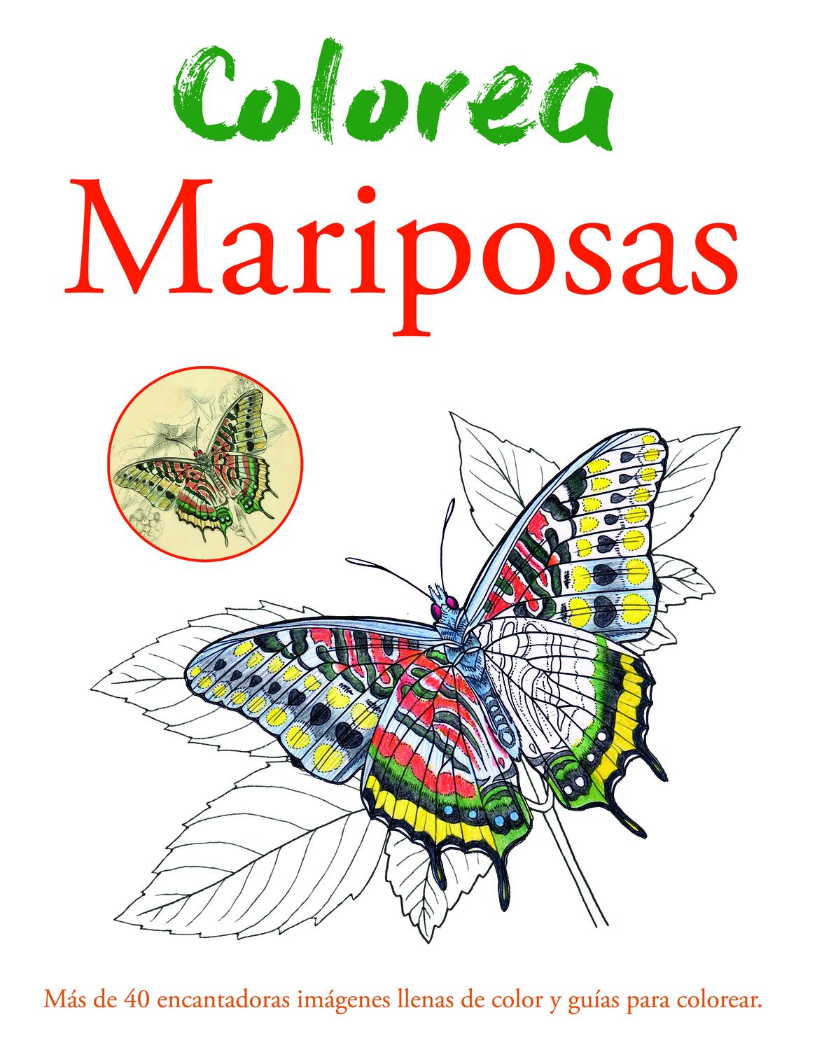 Colorea Mariposas