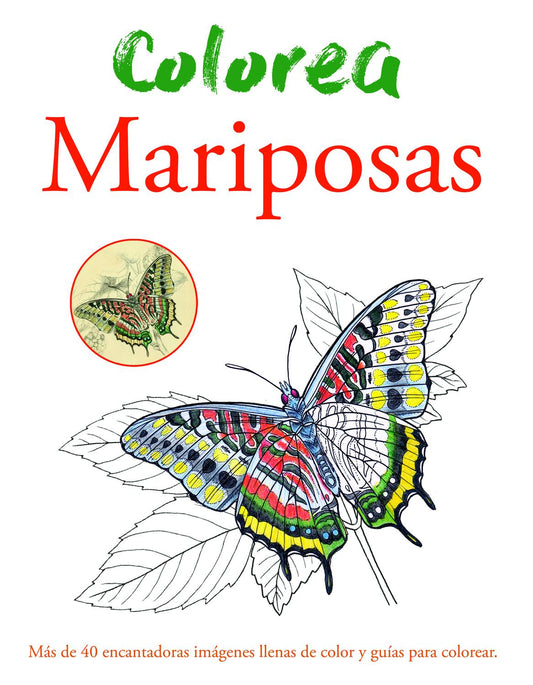 Colorea Mariposas